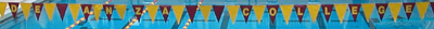 pool flags: